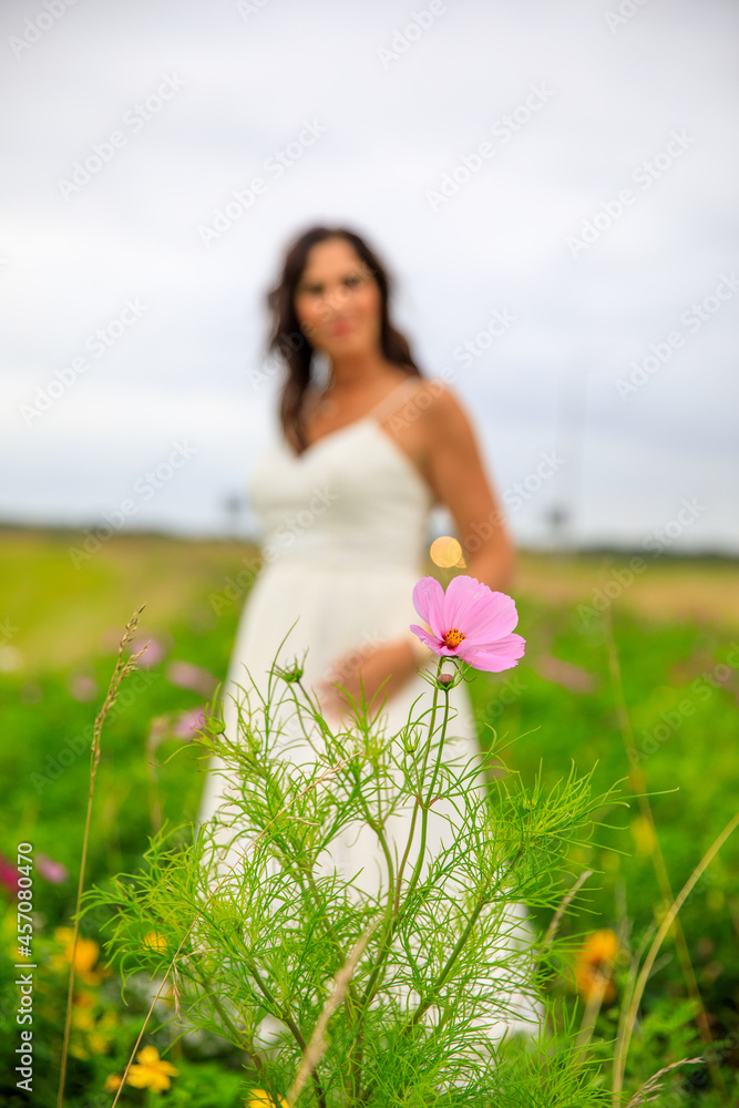 Junge hübsche Frau im Brautkleid in einer Blumenwiese Junge hübsche Frau im Brautkleid in einer Blumenwiese