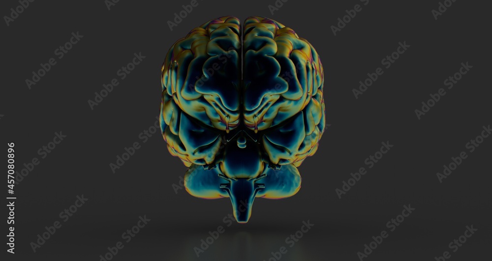 3d rendering of human brain on technology background 3d rendering of human brain on technology background