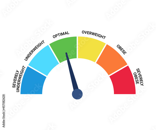 Bmi categories chart, body mass index and scale mass people. Severely underweight, underweight, optimal, overweight, obese, severely obese graph control health. Vector illustration