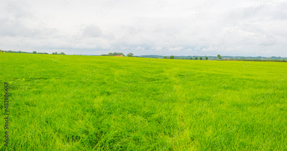 Fields and trees in a green hilly grassy landscape under a blue sky in sunlight in summer, Voeren, Limburg, Belgium, September, 2021 Fields and trees in a green hilly grassy landscape under a blue sky in sunlight in summer, Voeren, Limburg, Belgium, September, 2021