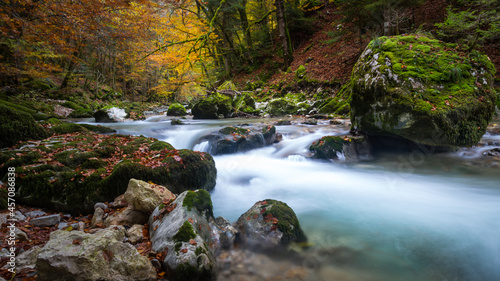 River with autumn colors in Chartreuse mountains