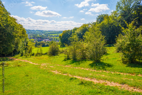 Fields and trees in a green hilly grassy landscape under a blue sky in sunlight in summer  Voeren  Limburg  Belgium  September  2021