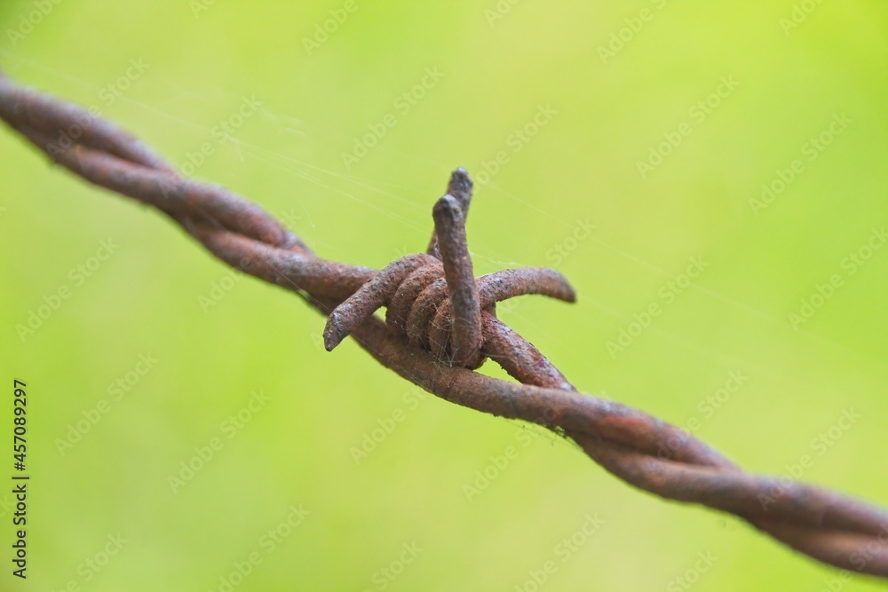 barbed wire on a fence barbed wire on a fence