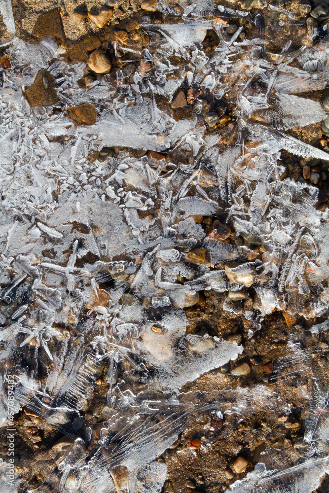 thin openwork ice covers the surface of the beach thin openwork ice covers the surface of the beach
