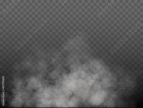 Fog or smoke isolated transparent special effect. White vector cloudiness, mist or smog background. Vector illustration