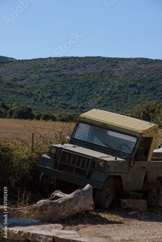 Принти на полотні Truck