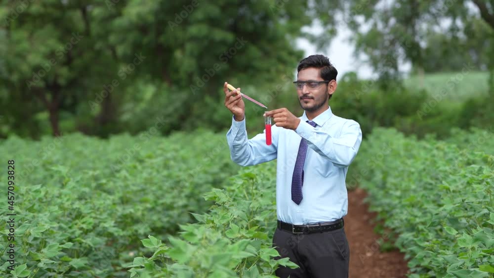 Young indian agronomist collecting sample at agriculture field. Young indian agronomist collecting sample at agriculture field.
