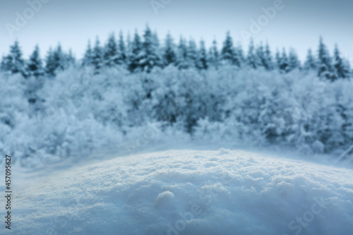 Christmas background with white snow and winter trees.