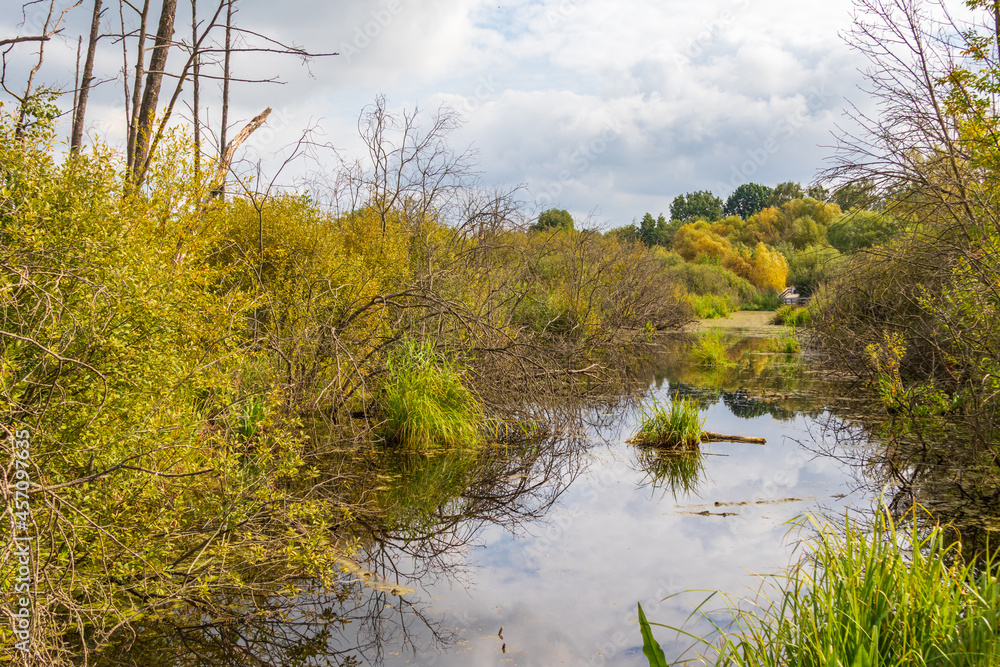 Fototapeta premium Tegeler Fliess