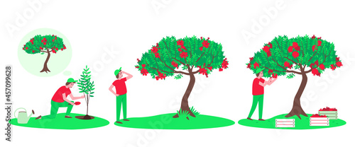 Set with a gardener growing a pomegranate tree. Blooming pomegranate. The pomegranate crop on the branches of the tree is cut with scissors. Flat vector illustration.