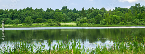 фотографія landscape green lake shore