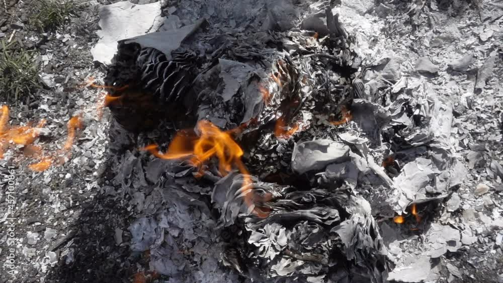 Burning paper in a campfire in slow motion Burning paper in a campfire in slow motion