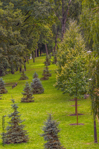 footpath in the park