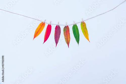 Six autumn leaves hanging on a rope, isolated on white background. Yellow, orange, red, purple, green leaves. Seasons concept.