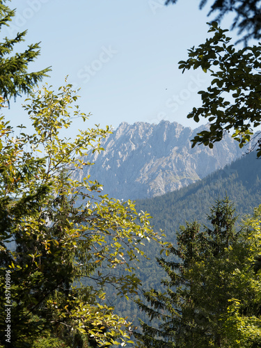 Walderlebnispfad zwischen Lautersee und Mittenwald in Oberbayern am Fu  e der Berge von Karwendel 