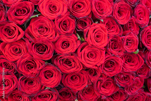 Big bouquet of red roses close up