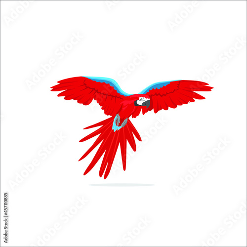 Colorful macaw parrot vector illustration