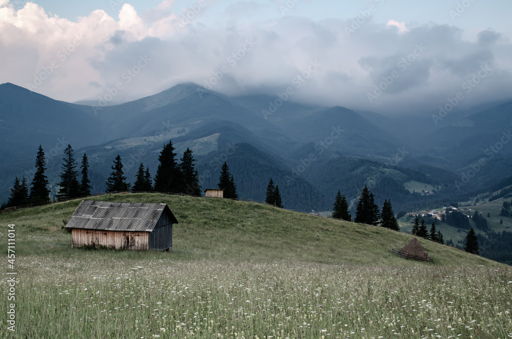 Carpathian mountain landscape