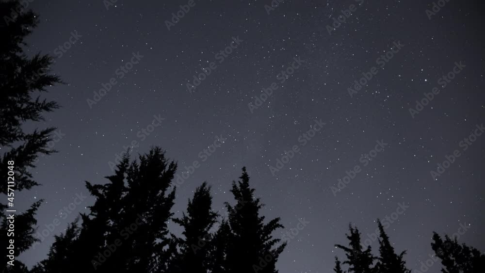 Stars moving across the night sky above the forest. Time lapse. Stars moving across the night sky above the forest. Time lapse.