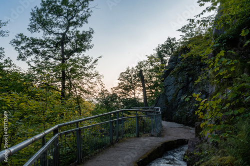 path in the woods