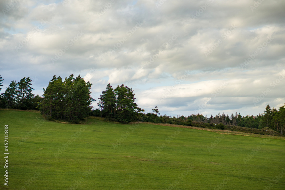 landscape with trees landscape with trees