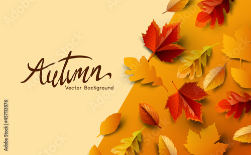 Autumn fall season background design with golden falling autumn leaves and room for copy text. Vector illustration