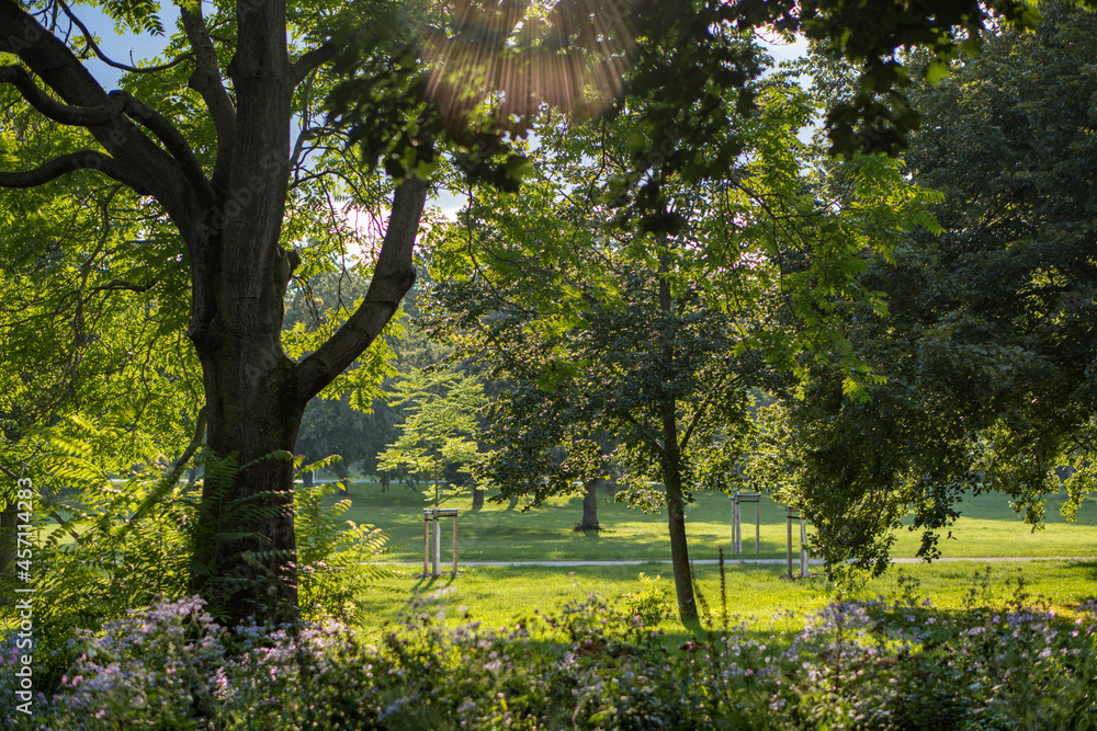 Naklejka premium spring in the park