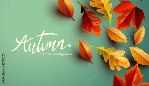 Autumn fall seasonal background design with golden, orange and red leaves. Vector background.