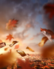 Fall season. Autumn background with the ground covered in leaves and the wind blowing them up into the air.