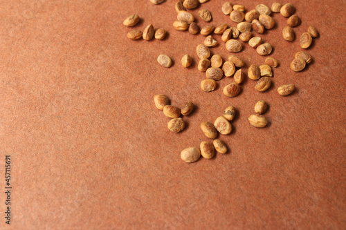 Chironji seeds isolated on brown background photo