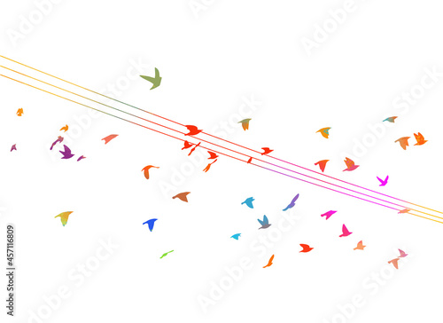 Multicolored Birds on wires. Vector illustration