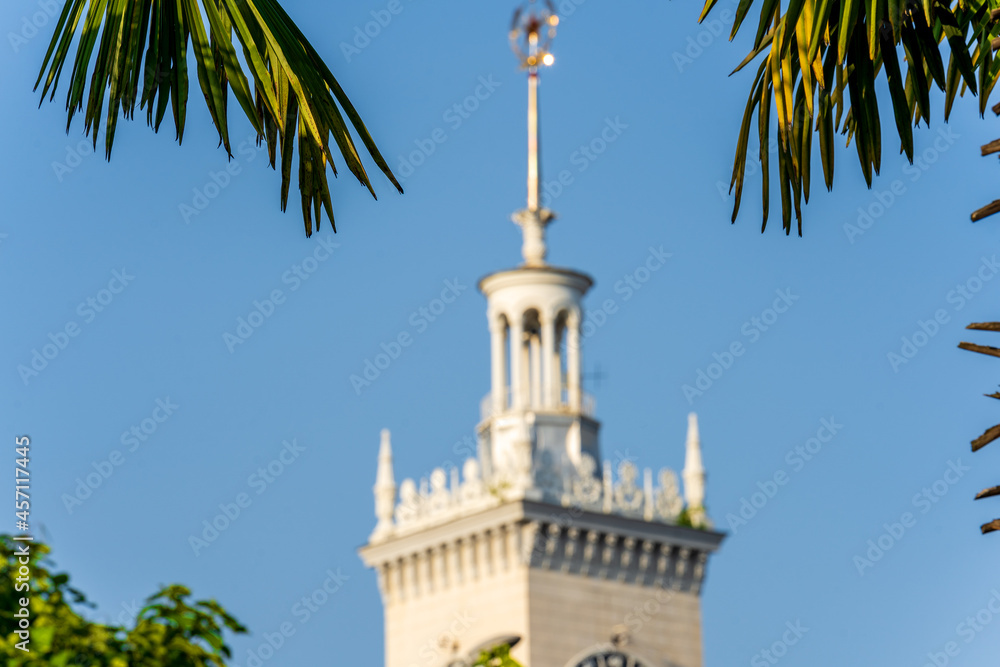 0143_ Branches of a palm tree from above against the background of the tower of a building with a spire