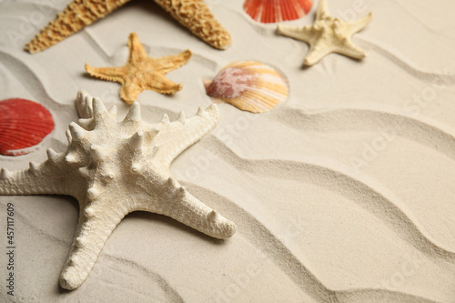 Beautiful sea stars and shells on sand  closeup