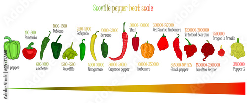 Scoville pepper heat scale. Pepper illustration from sweetest to very hot on color background. photo