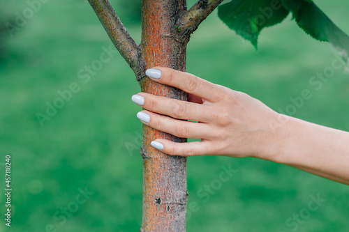 close-up of woman hand touching young tree trunk, concept of connecting with nature and reconnecting with earth.  © Юля Бурмистрова