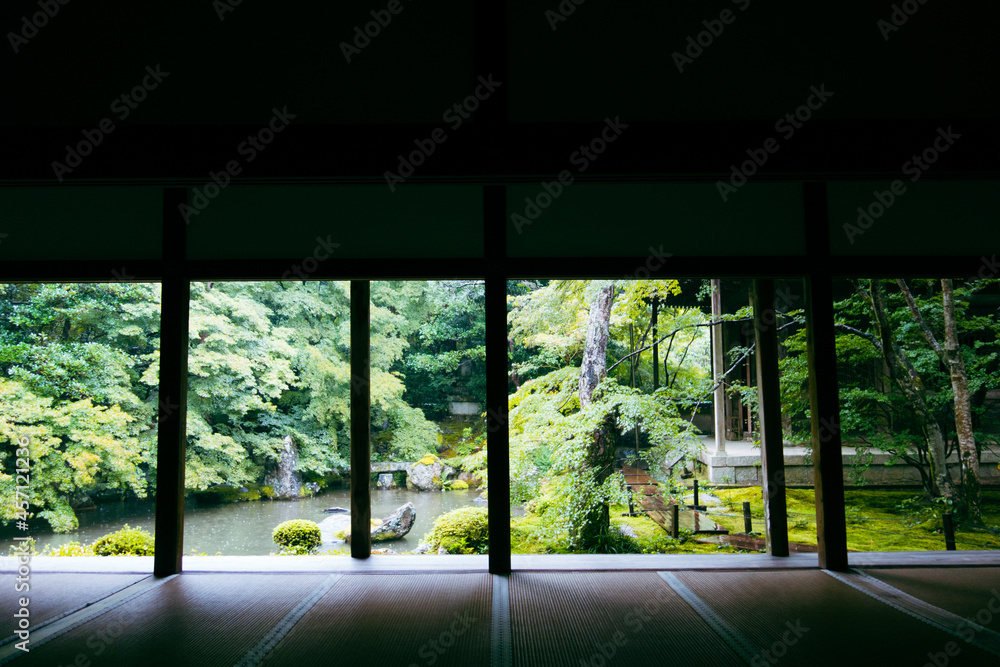 Fototapeta premium window in the garden