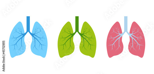 Lung human icon, respiratory system healthy lungs anatomy flat medical organ icon