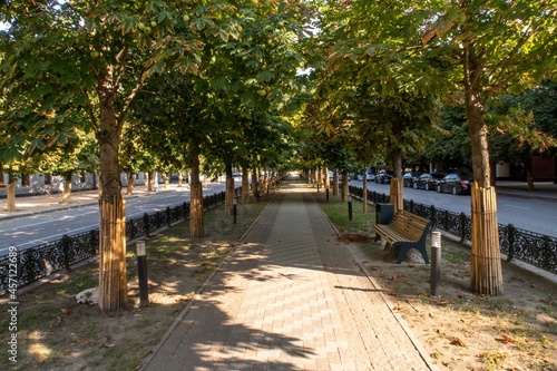 Russia, Chechnya, the Chechen Republic, the city of Grozny. A beautiful green alley with trees on the central avenue named Akhmat Kadyrov. A sunny day.