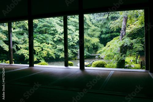 view from the window
