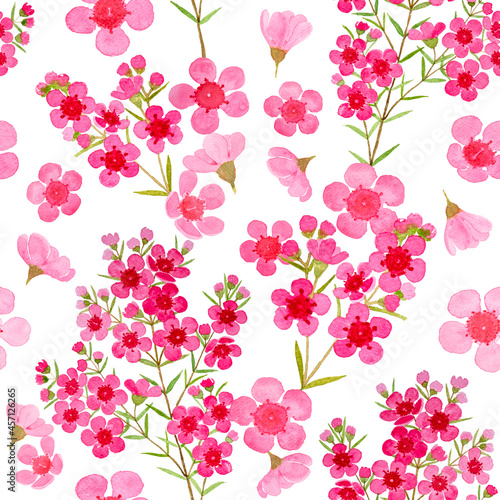 Wallpaper Mural Pink petals of Wax flower blossom seamless pattern illustration, watercolor flora painting Torontodigital.ca