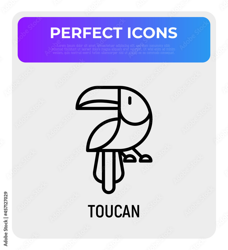 Fototapeta premium Toucan thin line icon. Modern vector illustration of exotic bird.