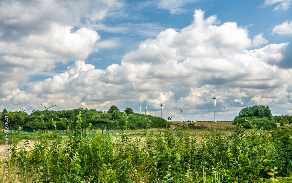 Obraz premium Wind turbine farm