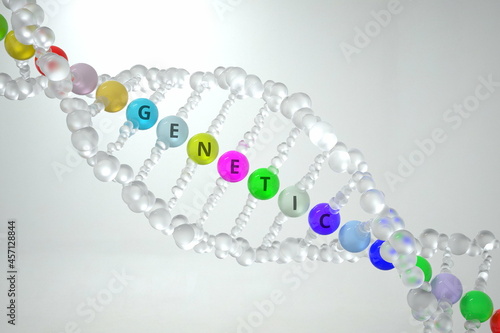 Wallpaper Mural DNA molecule model with GENETIC text. 3D rendering Torontodigital.ca