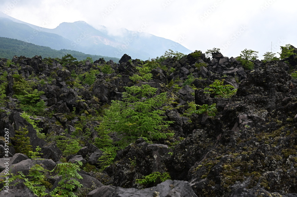 鬼押出し溶岩 鬼押出し溶岩