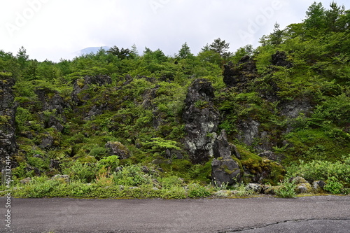 鬼押出し溶岩