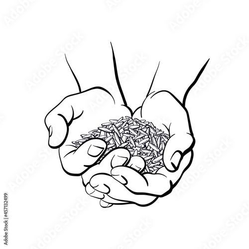 Rice grain in hands. Vector silhouette of seed