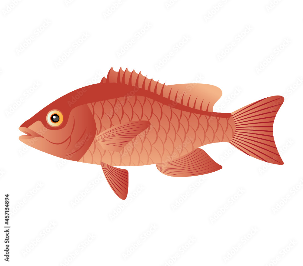Fototapeta premium Fish