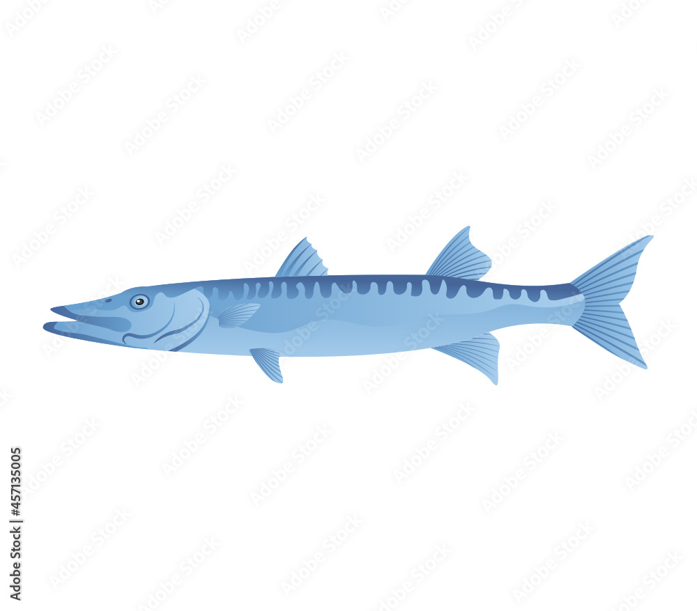 Obraz premium Fish