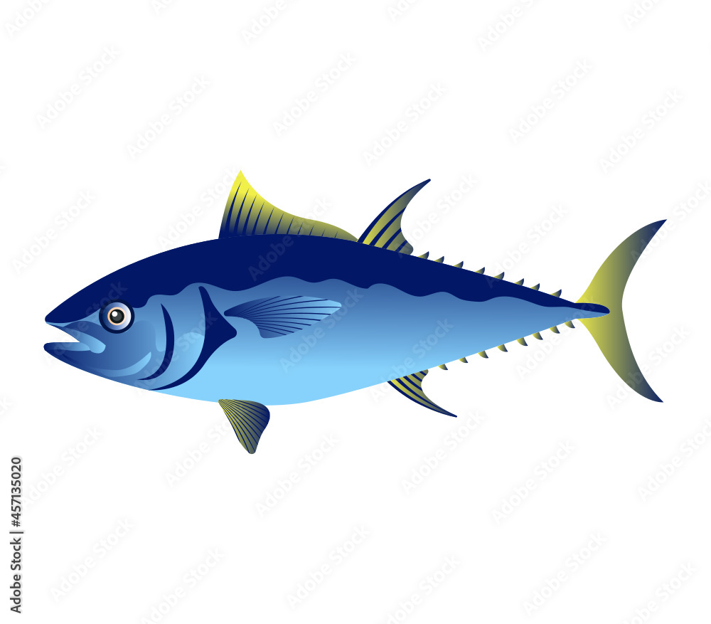 Fototapeta premium Fish