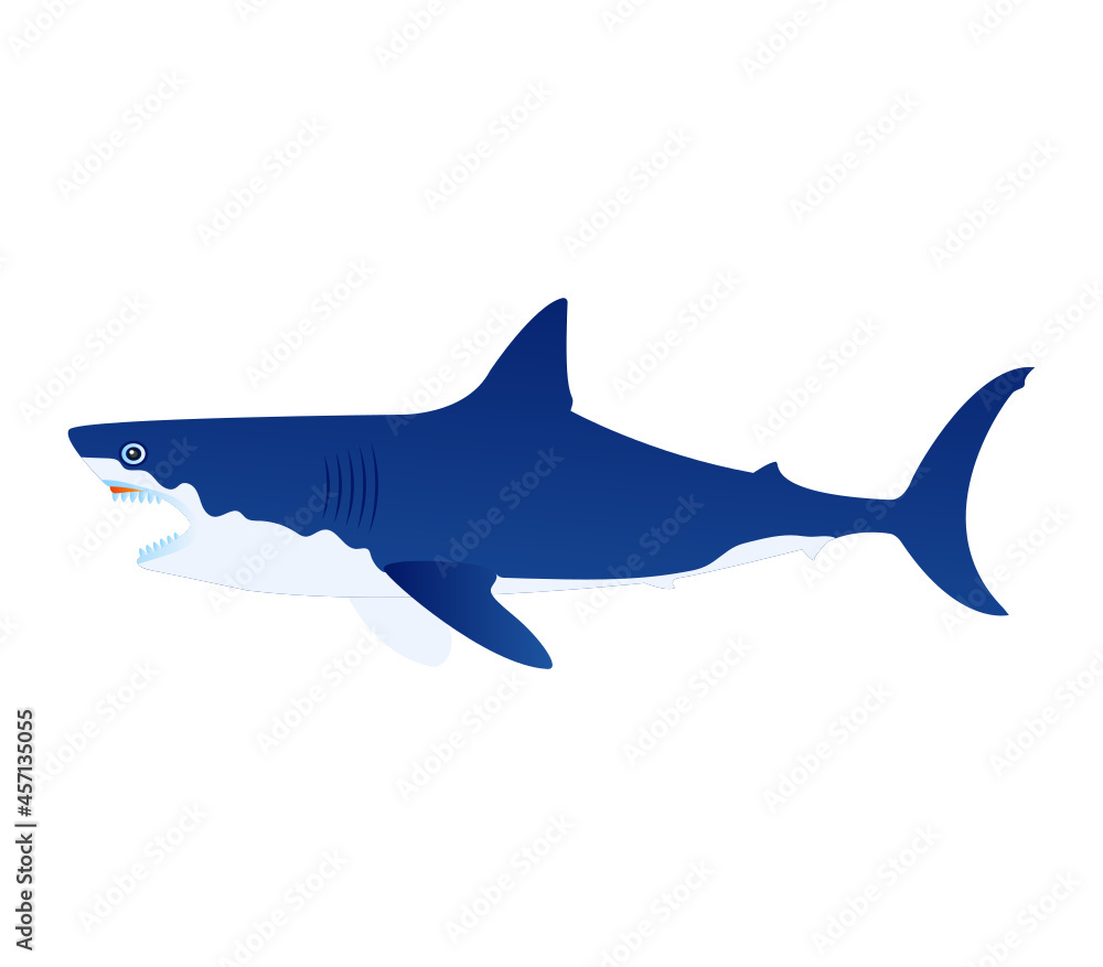 Fototapeta premium Fish